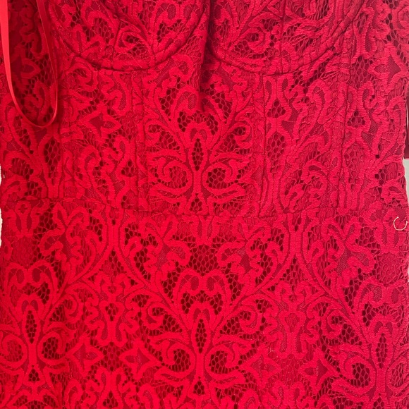 Milly Angelina Asymmetric Stretch Lace Dress - Picture 5 of 5